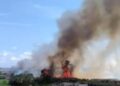 Un incendio de vegetación moviliza un amplio dispositivo en Albatera hasta su control esta tarde 11 Un incendio de vegetación moviliza un amplio dispositivo en Albatera hasta su control esta tarde