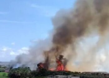 Un incendio de vegetación moviliza un amplio dispositivo en Albatera hasta su control esta tarde