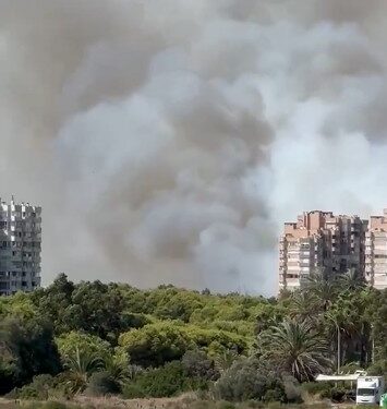 Evacuación de El Saler, la población y los campings de la zona por el incendio que quema la Devesa