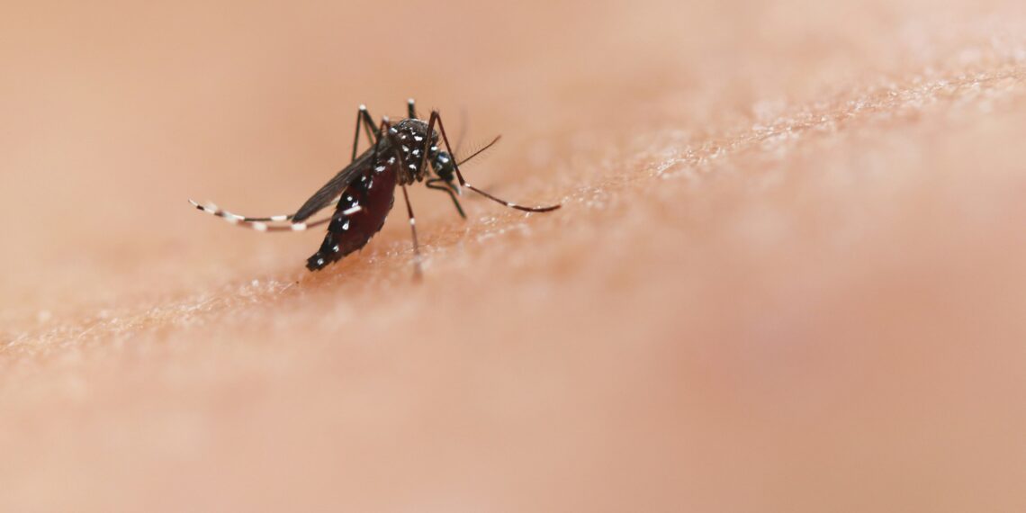 OCU advierte sobre la falta de eficacia antimosquitos de las pulseras y los aparatos de ultrasonidos