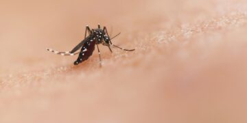 OCU advierte sobre la falta de eficacia antimosquitos de las pulseras y los aparatos de ultrasonidos