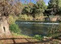 Hallan el cuerpo sin vida de un joven de 29 años ahogado en el río Turia a su paso por Manises 10 Hallan el cuerpo sin vida de un joven de 29 años ahogado en el río Turia a su paso por Manises