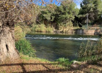 Hallan el cuerpo sin vida de un joven de 29 años ahogado en el río Turia a su paso por Manises 14 Hallan el cuerpo sin vida de un joven de 29 años ahogado en el río Turia a su paso por Manises