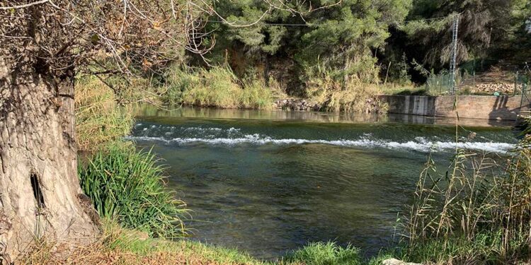 Hallan el cuerpo sin vida de un joven de 29 años ahogado en el río Turia a su paso por Manises 1 Hallan el cuerpo sin vida de un joven de 29 años ahogado en el río Turia a su paso por Manises