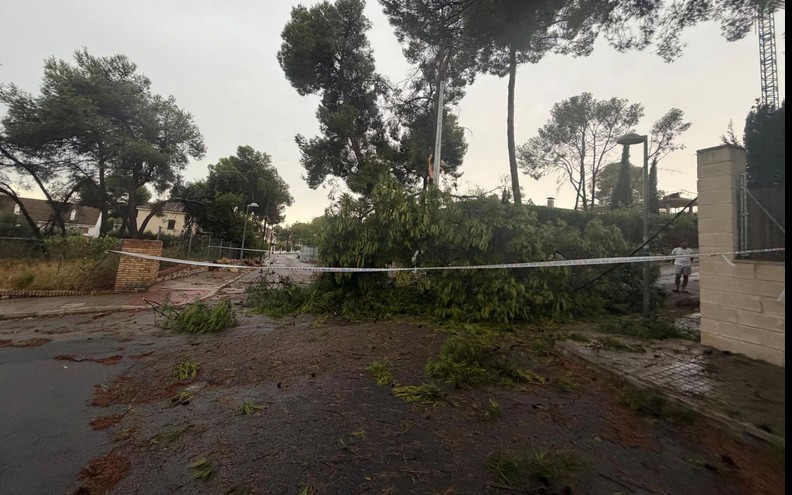 El temporal obliga a actuar de urgencia a Paterna por caída de arbolado y desprendimientos 4 paterna tormenta 2