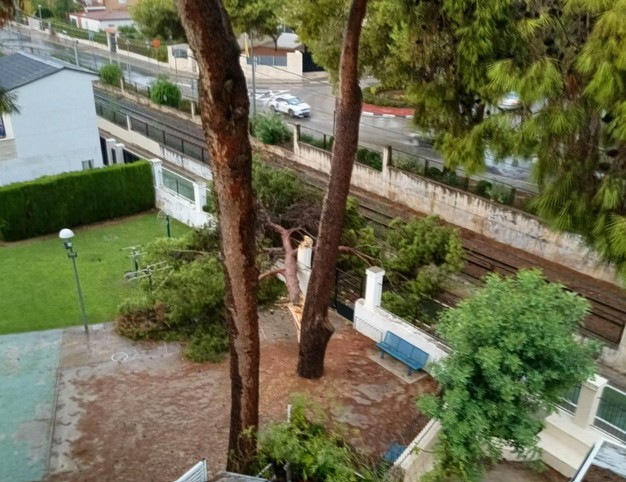 El temporal obliga a actuar de urgencia a Paterna por caída de arbolado y desprendimientos 2 paterna tormenta 3