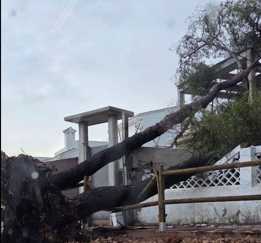 El temporal obliga a actuar de urgencia a Paterna por caída de arbolado y desprendimientos 3 paterna tormenta4