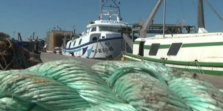 El gasoil asfixia al campo y la pesca valenciana: en Santa Pola pasa de 50 céntimos a 1,22 euros el litro 1 08afd3b7 b9cc 4a40 bfcc 56cf15da1b40 16 9 aspect ratio 1600w 0