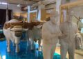Valencia abre el Museu de la Mar, su primer nuevo museo municipal en casi dos décadas 10 0909 Museo u de la Mar web