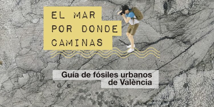 El Paleontològic presenta "El mar por donde caminas", una guía para descubrir Valéncia a través de sus fósiles urbanos