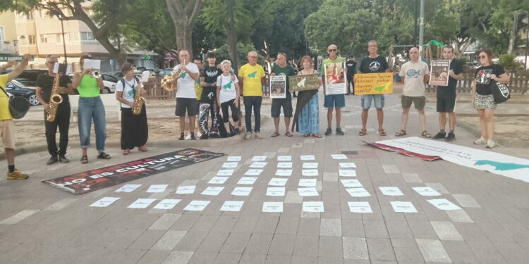 Colectivos antitaurinos se movilizan en Algemesí contra los festejos locales y la financiación pública del sector 1 Colectivos antitaurinos se movilizan en Algemesí contra los festejos locales y la financiación pública del sector