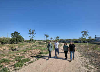 Gandia culmina la renaturalización del Barranc de Beniopa con una inversión de 2,5 millones de euros para prevenir inundaciones
