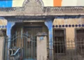 Alarma en Mislata por la desaparición de 12 gatos y casos de maltrato en la colonia "del Circo" 10 Alarma en Mislata por la desaparición de 12 gatos y casos de maltrato en la colonia "del Circo"