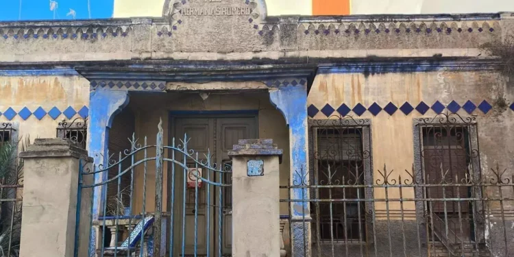Alarma en Mislata por la desaparición de 12 gatos y casos de maltrato en la colonia "del Circo" 1 Alarma en Mislata por la desaparición de 12 gatos y casos de maltrato en la colonia "del Circo"