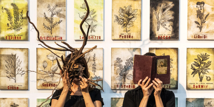 La Nau explora los saberes femeninos y la medicina natural a partir de un herbolario del siglo XVI 1 La Nau explora los saberes femeninos y la medicina natural a partir de un herbolario del siglo XVI