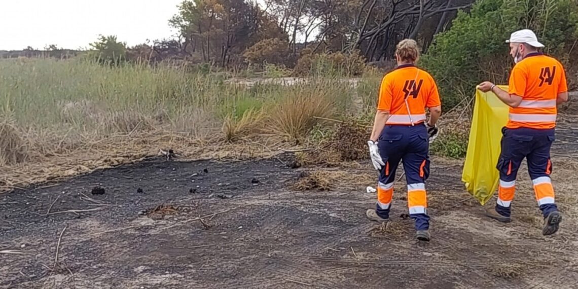 El incendio de El Saler deja 750 kilos de residuos retirados por los servicios de limpieza de Valencia 1 El incendio de El Saler deja 750 kilos de residuos retirados por los servicios de limpieza de Valencia 2
