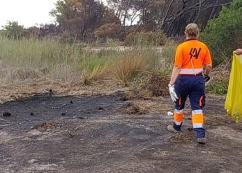 El incendio de El Saler deja 750 kilos de residuos retirados por los servicios de limpieza de Valencia 2