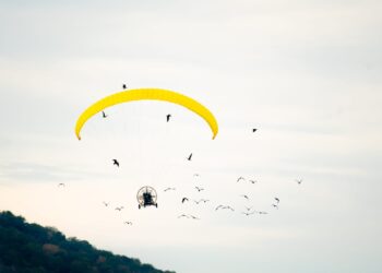 Una travesía ultraligera cruzará Europa para devolver el ibis eremita a los cielos de la Península