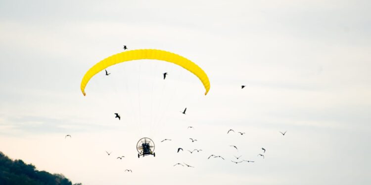 Una travesía ultraligera cruzará Europa para devolver el ibis eremita a los cielos de la Península 1 Una travesía ultraligera cruzará Europa para devolver el ibis eremita a los cielos de la Península