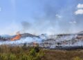 Un incendio de vegetación en Sant Mateu hace peligrar una granja avícola 10 Un incendio de vegetación en Sant Mateu hace peligrar una granja avícola