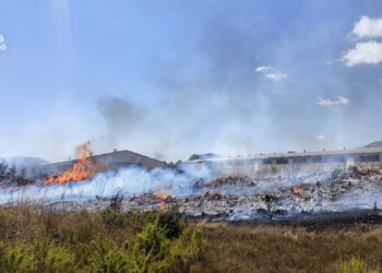 Un incendio de vegetación en Sant Mateu hace peligrar una granja avícola 14 Un incendio de vegetación en Sant Mateu hace peligrar una granja avícola