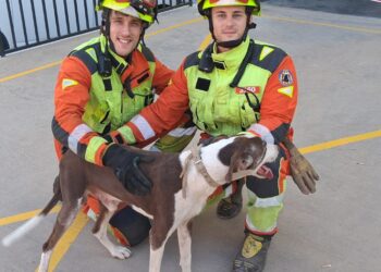 Los bomberos rescatan a un perro atrapado en un muro divisorio en Beniparrell 14 Los bomberos rescatan a un perro atrapado en un muro divisorio en Beniparrell