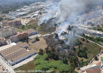 Los bomberos dan por estabilizado un incendio de vegetación declarado en Dénia