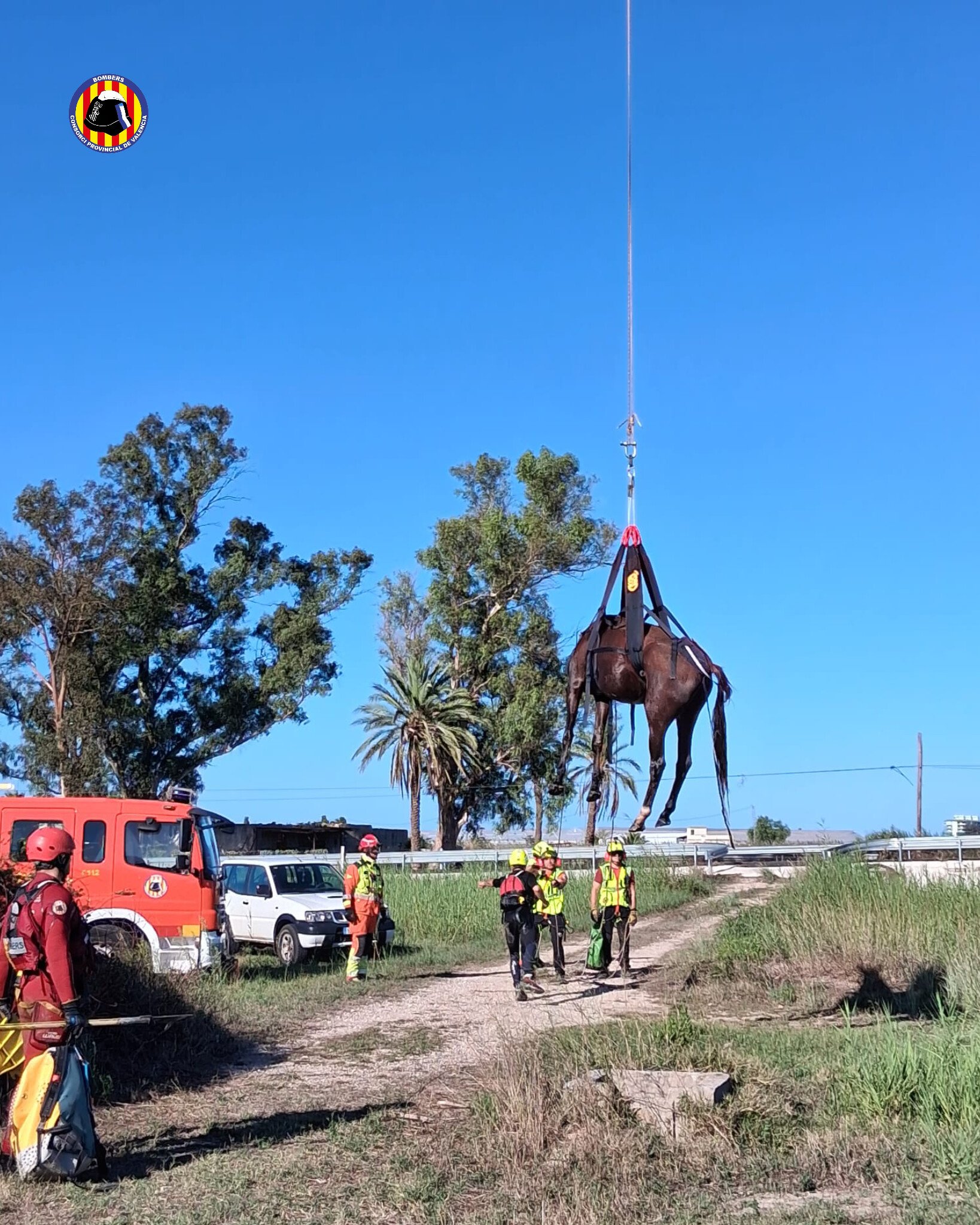Los bomberos rescatan a un caballo atrapado en el lago de l'Estany de Cullera 3 HSFogWQbYAIUlNd