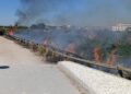 Un voraz incendio de cañas moviliza a los bomberos y corta el tráfico entre Alboraya y Almàssera