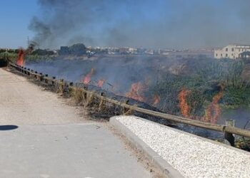Un voraz incendio de cañas moviliza a los bomberos y corta el tráfico entre Alboraya y Almàssera