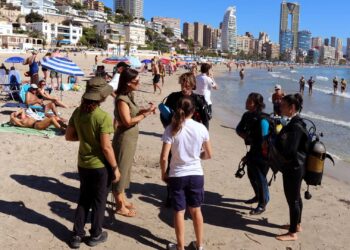 Benidorm y la Fundación Mundomar se unen para retirar residuos del fondo marino en la zona de Tamarindos 14 Benidorm y la Fundación Mundomar se unen para retirar residuos del fondo marino en la zona de Tamarindos