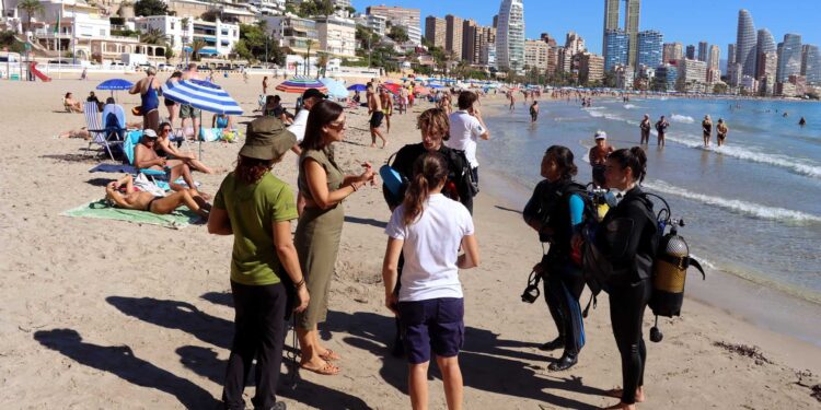 Benidorm y la Fundación Mundomar se unen para retirar residuos del fondo marino en la zona de Tamarindos