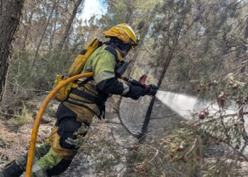 Un conato de reanimación del incendio de Tuéjar moviliza a los medios aéreos y terrestres en Benagéber 14 Un conato de reanimación del incendio de Tuéjar moviliza a los medios aéreos y terrestres en Benagéber