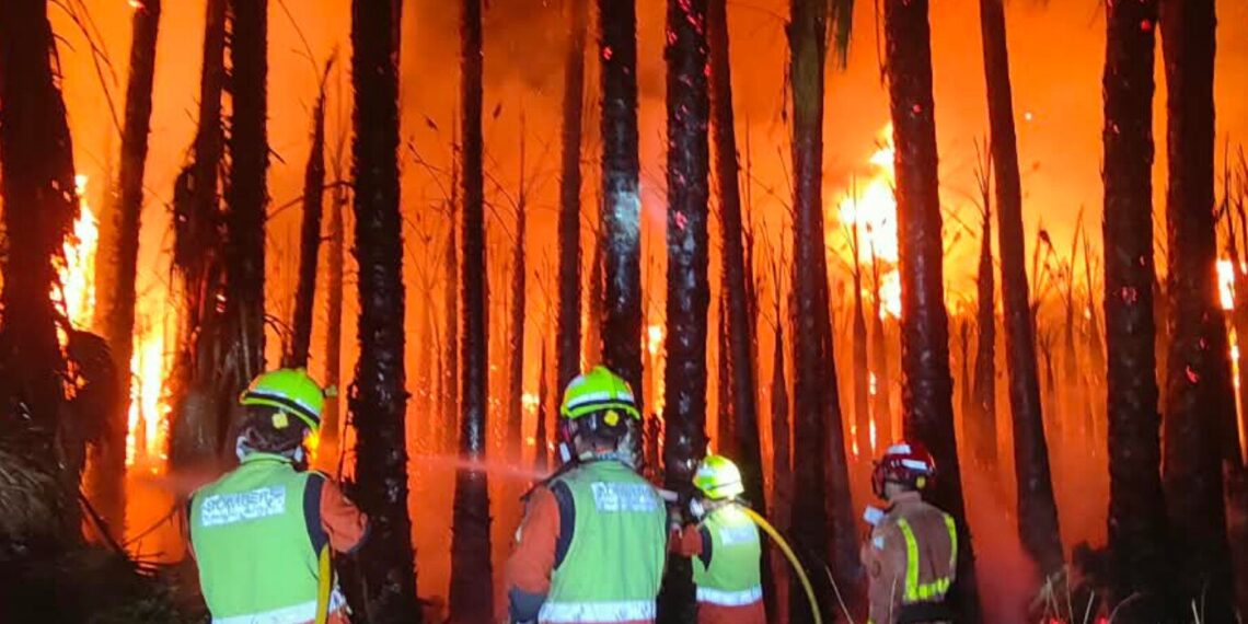 Rayos nocturnos provocan dos incendios en Massanassa y Sedaví y movilizan a los servicios de emergencia