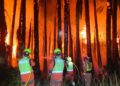 Rayos nocturnos provocan dos incendios en Massanassa y Sedaví y movilizan a los servicios de emergencia