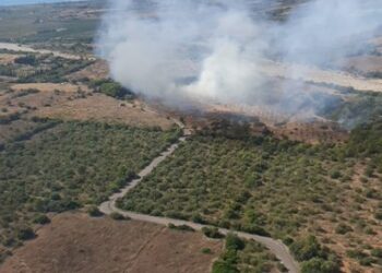 Movilizado un amplio dispositivo aéreo y terrestre para atajar un incendio forestal en Alcalá de Chivert