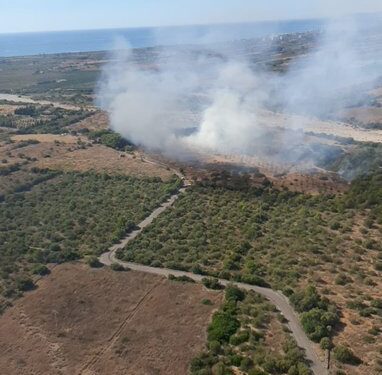 Movilizado un amplio dispositivo aéreo y terrestre para atajar un incendio forestal en Alcalá de Chivert 1 Movilizado un amplio dispositivo aéreo y terrestre para atajar un incendio forestal en Alcalá de Chivert