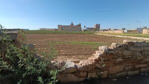 El abandono de las huertas históricas y el muro de San Miguel de los Reyes evidencia el incumplimiento legal del Ayuntamiento de Valencia y la Generalitat pese a su protección BIC 4 El abandono de las huertas históricas y el muro de San Miguel de los Reyes evidencia el incumplimiento legal del Ayuntamiento de Valencia y la Generalitat pese a su protección BIC