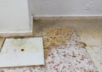 El PP de Silla pide una sede para que el Club de Ajedrez pueda reanudar su actividad