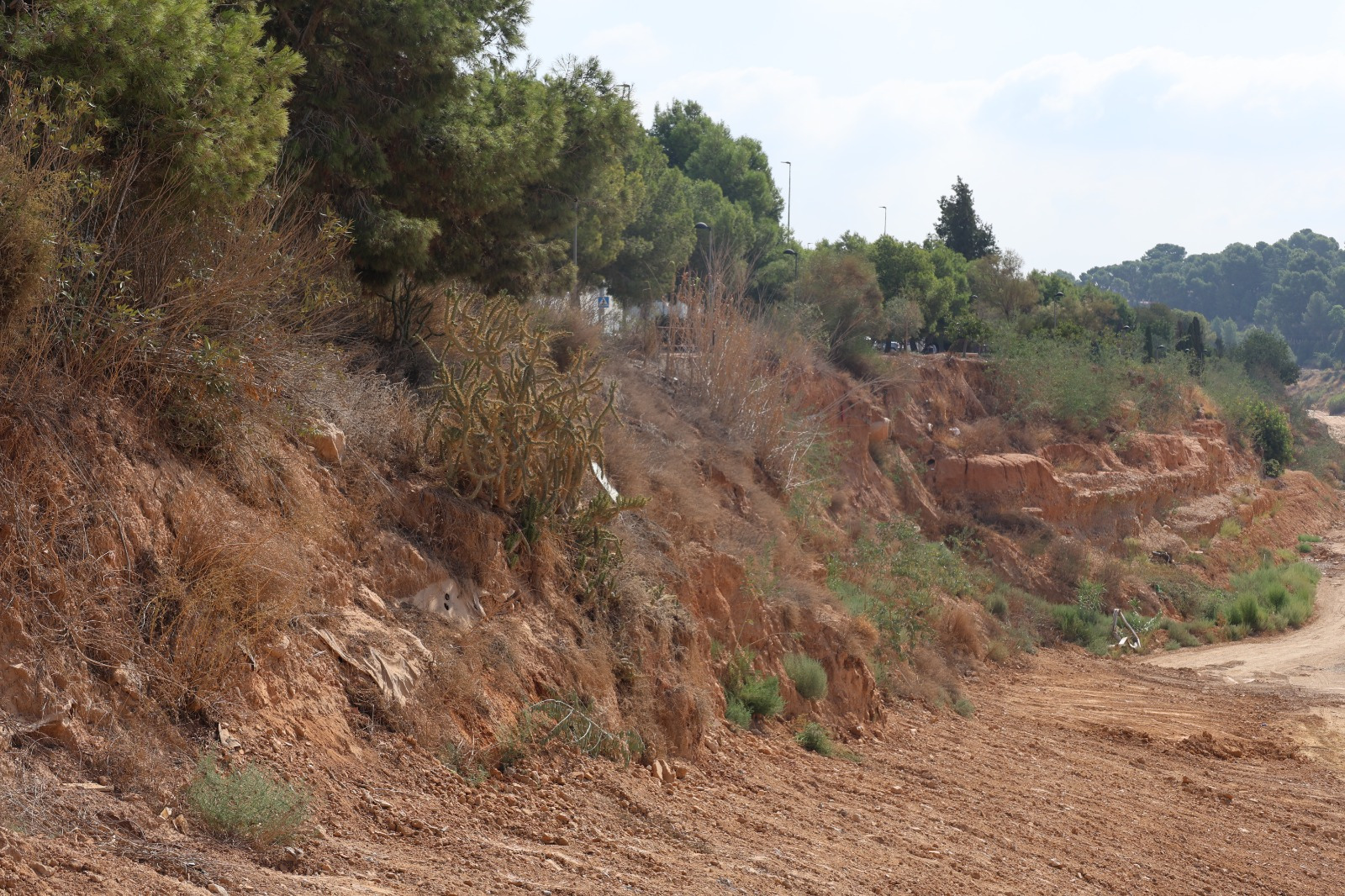 Torrent proyecta la reconstrucción integral del polígono industrial Mas del Juge con una inversión de 35,7 millones tras la DANA 4 WhatsApp Image 2026 09 03 at 12.12.03