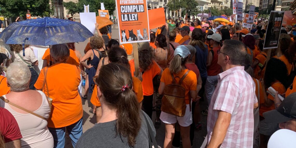 Voluntarios y vecinos exigen la implantación urgente del plan de gestión de colonias felinas 1 Voluntarios y vecinos exigen la implantación urgente del plan de gestión de colonias felinas