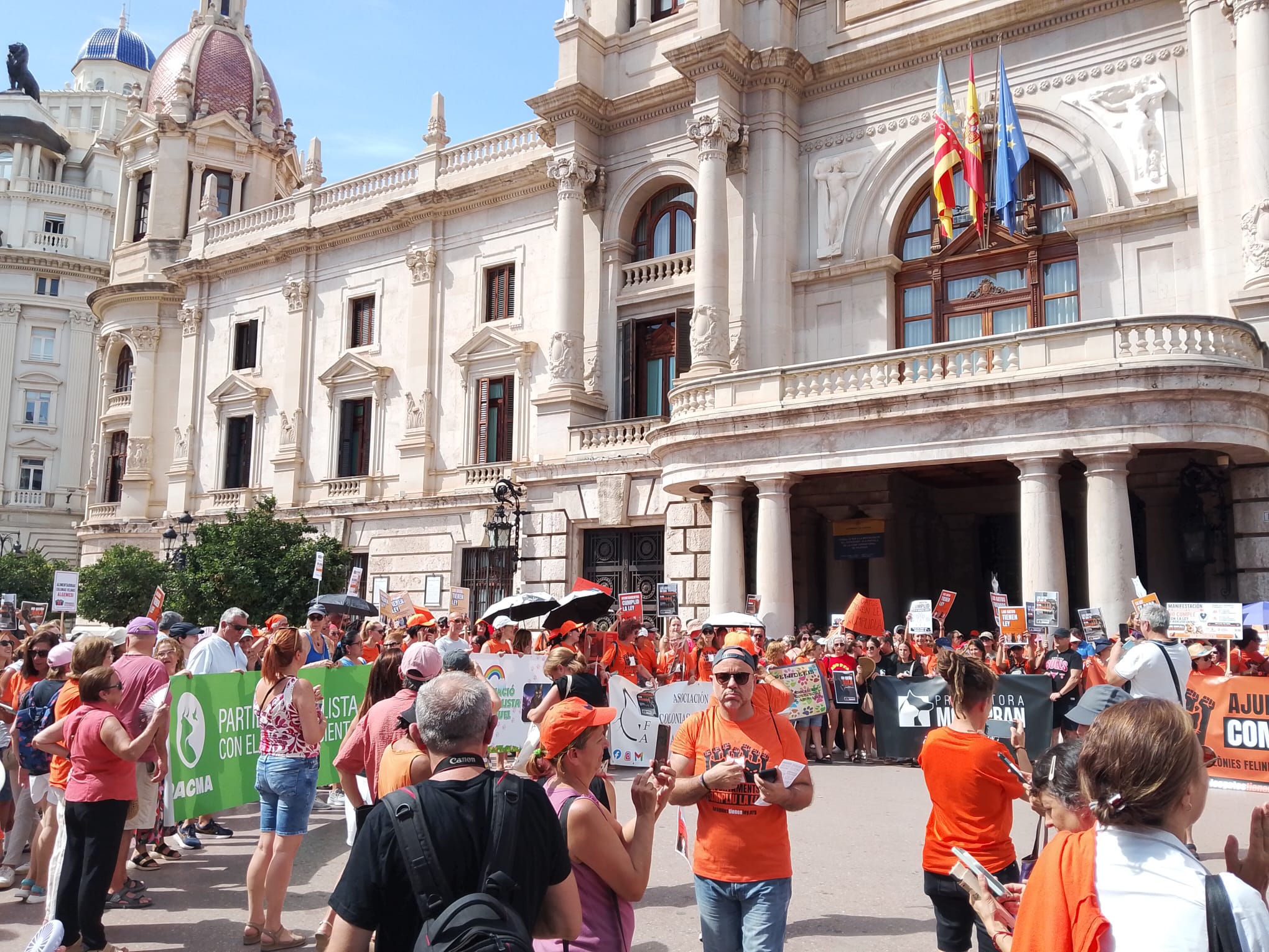 Voluntarios y vecinos exigen la implantación urgente del plan de gestión de colonias felinas 2 WhatsApp Image 2026 09 06 at 17.19.27