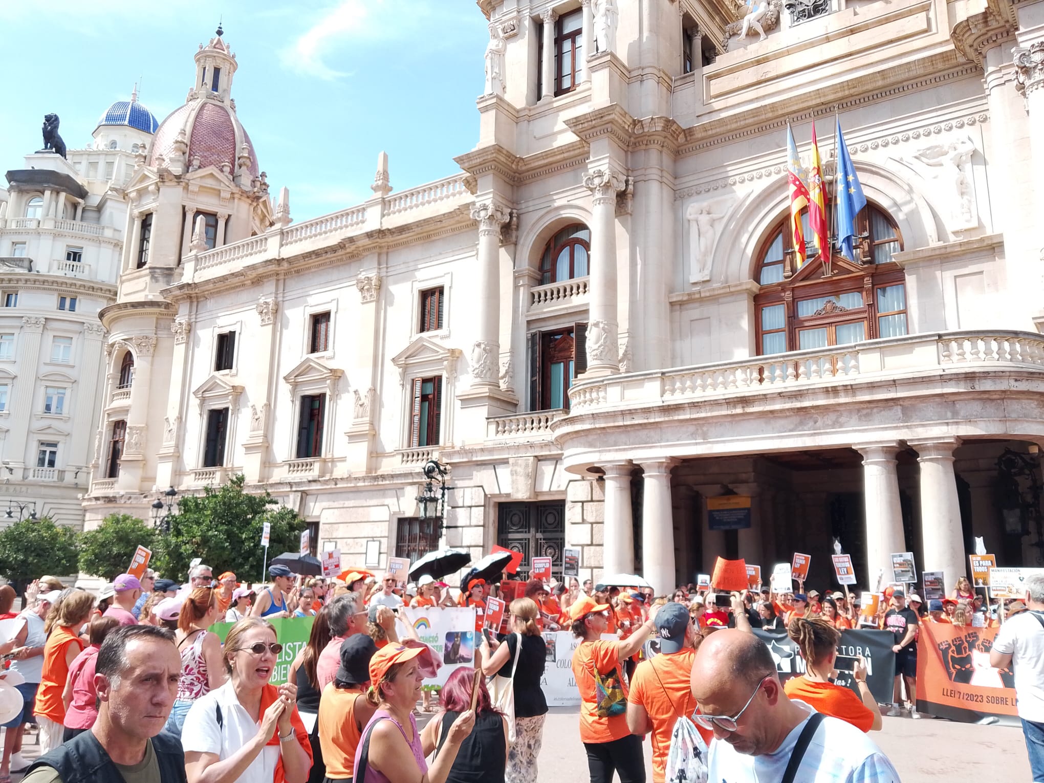 Voluntarios y vecinos exigen la implantación urgente del plan de gestión de colonias felinas 4 WhatsApp Image 2026 09 06 at 17.19.272