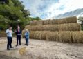 El Consell Agrari de Valéncia inicia la campaña municipal de recogida de paja de arroz