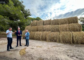 El Consell Agrari de Valéncia inicia la campaña municipal de recogida de paja de arroz