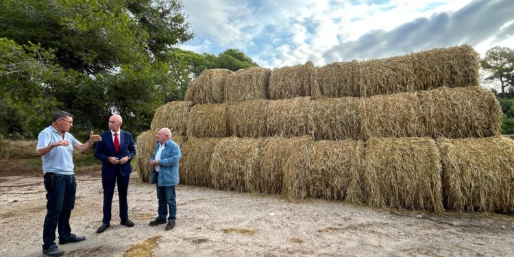 El Consell Agrari de Valéncia inicia la campaña municipal de recogida de paja de arroz