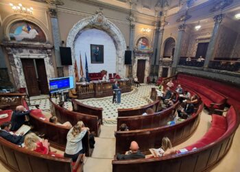 El Gobierno municipal presume de reducir la oferta turística mientras la oposición le acusa de «falsear» las cifras 14 El Gobierno municipal presume de reducir la oferta turística mientras la oposición le acusa de «falsear» las cifras