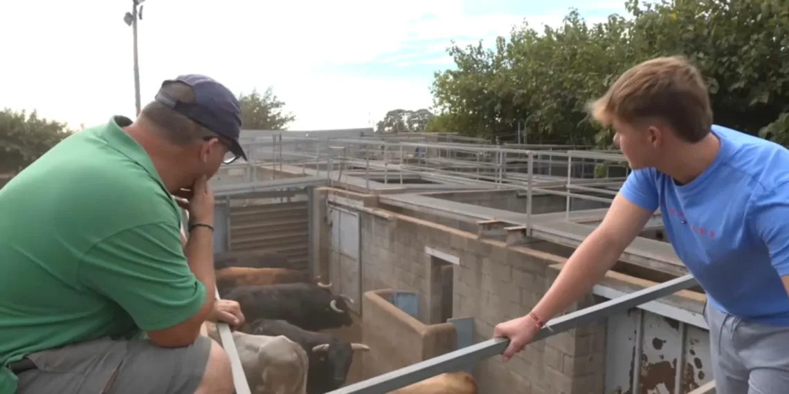 a1afc54e 934e 41a7 8162 46682651a845 16 9 aspect ratio 1600w 0