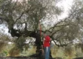 El campo valenciano envejece: casi la mitad de los perceptores de la PAC tiene 65 años o más 11 e44595ea a415 4ba7 93c3 135bbadaee37 16 9 aspect ratio 1600w 0