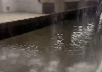 Interrumpida de emergencia la circulación en todas las líneas de la red de metrovalencia